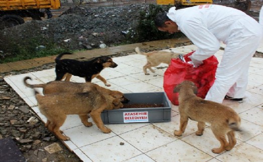 'Can Dostlarımızı Unutmadık!'