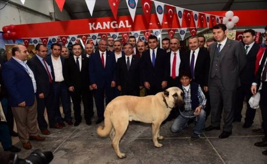 Geleneksel ?Sivas Günleri? Açılışı Muhteşem Törenle Gerçekleşti