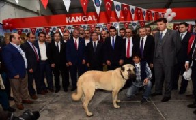Geleneksel ?Sivas Günleri? Açılışı Muhteşem Törenle Gerçekleşti