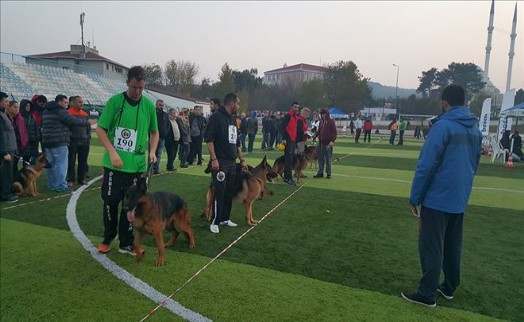 ALMAN ÇOBAN KÖPEKLERİ SARIYER´DE YARIŞTI