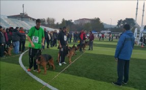 ALMAN ÇOBAN KÖPEKLERİ SARIYER´DE YARIŞTI
