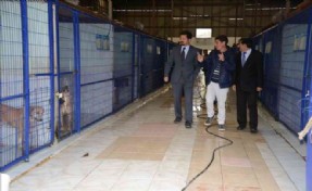 SARIYER RM´DE SAĞLIKSIZ KOŞULLAR YOK
