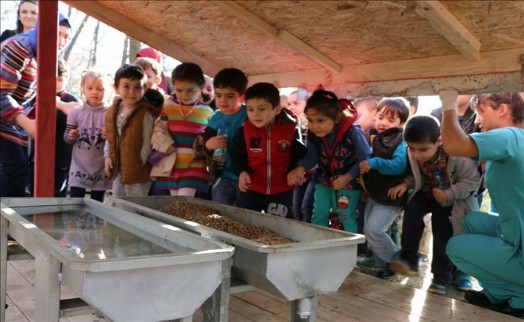 Minik Yüreklerin Hayvan Sevgisi