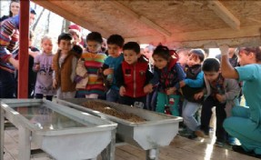 Minik Yüreklerin Hayvan Sevgisi