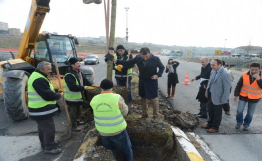 BEYLİKDÜZÜ BAŞTAN SONA AĞAÇLANIYOR
