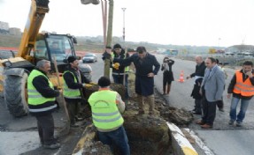 BEYLİKDÜZÜ BAŞTAN SONA AĞAÇLANIYOR