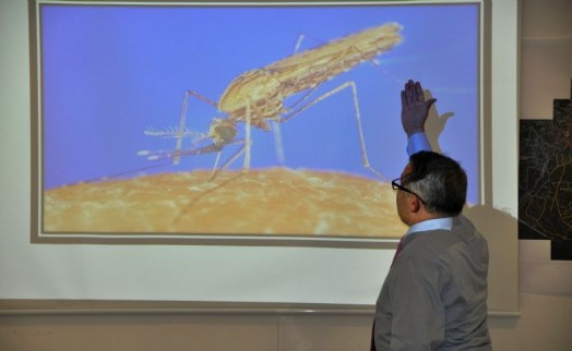 BEYLİKDÜZÜ'NDE SİVRİSİNEKLERE KARŞI MÜCADELE PLANI HAZIR