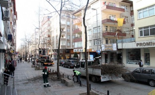 KARTAL'DA İLKBAHAR HAZIRLIKLIKLARI BAŞLADI