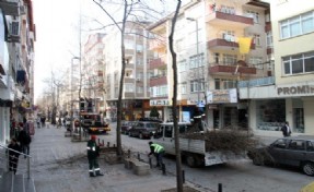 KARTAL'DA İLKBAHAR HAZIRLIKLIKLARI BAŞLADI