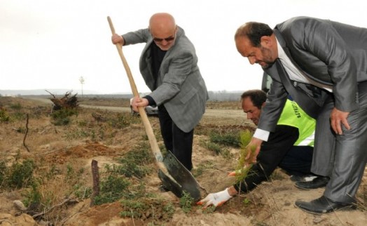 Beykoz`da 250 Bin Şehit 250 Bin Fidanla Yaşatılacak