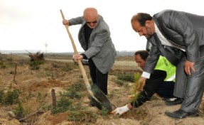 Beykoz`da 250 Bin Şehit 250 Bin Fidanla Yaşatılacak