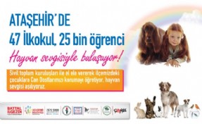 Ataşehir'de 25 bin çocuğa hayvan sevgisi anlatılacak