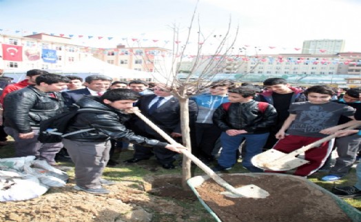 OKULLARA BİN 500 AĞAÇ