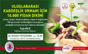BARIŞ VE KARDEŞLİK İÇİN 10 BİN FİDAN
