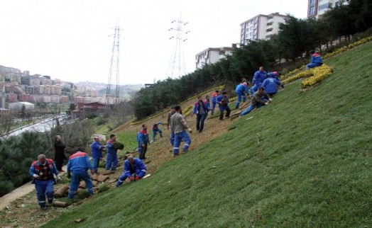KAĞITHANE ÇİÇEKLENDİ