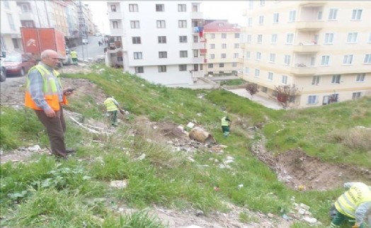 Maltepe'nin Temizlik Avcıları