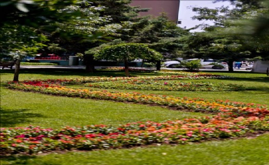 Maltepe Çiçek Açtı
