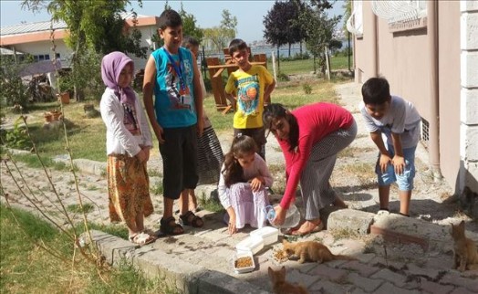 SICAK YAZ GÜNLERİNDE SOKAK HAYVANLARINI UNUTMADILAR
