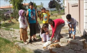 SICAK YAZ GÜNLERİNDE SOKAK HAYVANLARINI UNUTMADILAR