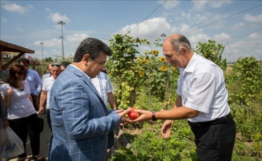 BAŞKAN KARADENİZ, VATANDAŞLARIN HASADINA ORTAK OLDU