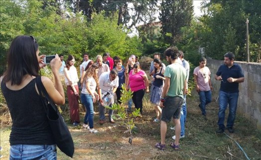 Suruç Şehitleri Çınar Ağacında Yaşayacak