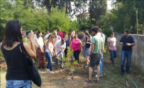 Suruç Şehitleri Çınar Ağacında Yaşayacak