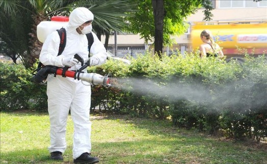Eyüp´te Teke Böceğine Karşı Önlemler Alınıyor