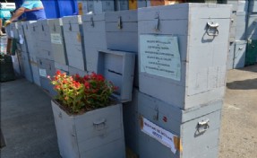 SEÇİM SANDIKLARI ÜSKÜDAR´DA ÇİÇEK AÇTI