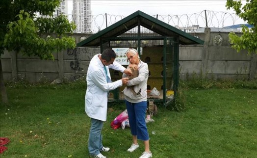ÜCRETSİZ KUDUZ AŞISINA BÜYÜK İLGİ