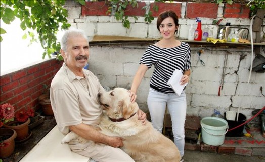 KÜÇÜKÇEKMECE BELEDİYESİ KEDİ VE KÖPEKLERİ AİLE SAHİBİ YAPIYOR