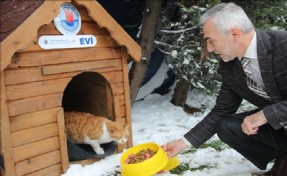SOKAK HAYVANLARI UNUTULMADI