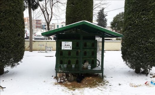KÜÇÜKÇEKMECE BELEDİYESİ SOKAK HAYVANLARINI DA UNUTMADI