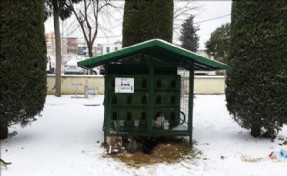 KÜÇÜKÇEKMECE BELEDİYESİ SOKAK HAYVANLARINI DA UNUTMADI