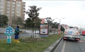 Yeşil Alanlar Tuzlamanın Etkilerine Karşı Korunuyor