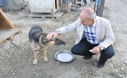 Talihsiz Köpeğin Şansı, Başkan Akgün´le Döndü