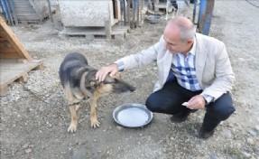 Talihsiz Köpeğin Şansı, Başkan Akgün´le Döndü