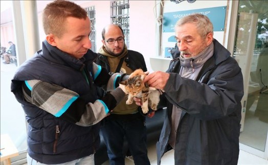 'Yaralı Kedi Emin Ellerde'