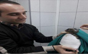 Yaralı Kızıl Şahine İlk Müdahale Çatalca Belediyesi´nde Yapıldı