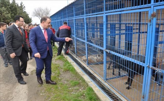 EKMEKLERİNİ BARINAKTAKİ HAYVANLARLA PAYLAŞTILAR