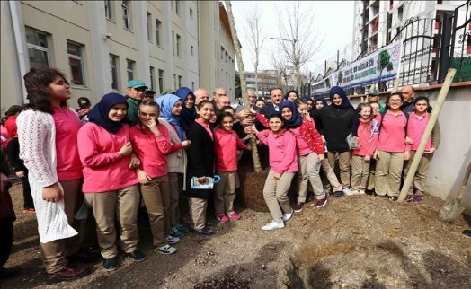 Bağcılar Çınar Ağaçları ile Donatılıyor
