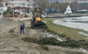 Büyükçekmece Kıyılarına Vuran Yosunlar Temizlendi
