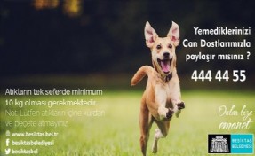 Beşiktaş Belediyesi, Can Dostlarınızla Paylaşmak Üzere Yemek Topluyor