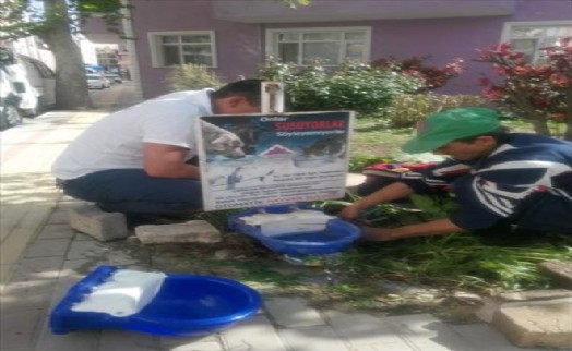 Çatalca Belediyesi Yaza Girerken Hayvanları Unutmadı