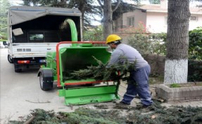 Tuzla Belediyesi, Budanan Dalları Ekonomiye Geri Kazandırıyor