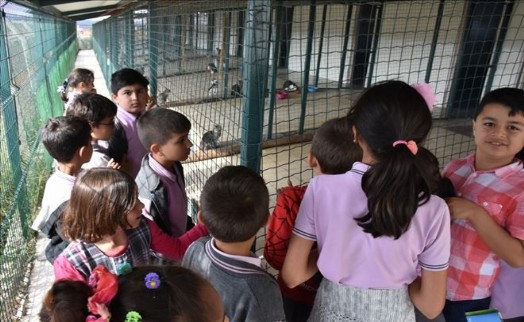 SİLİVRİ BELEDİYESİ´NDEN HAYVANLARI KORUMA GÜNÜ ETKİNLİKLERİ