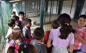SİLİVRİ BELEDİYESİ´NDEN HAYVANLARI KORUMA GÜNÜ ETKİNLİKLERİ