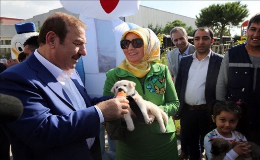 ESENYURT ´TA HAYVANLARI KORUMA GÜNÜ´NÜNDE  KÖPEK GÜZELLİK YARIŞMASI