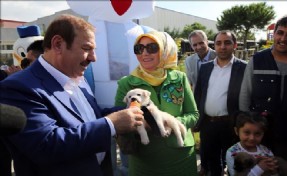 ESENYURT ´TA HAYVANLARI KORUMA GÜNÜ´NÜNDE  KÖPEK GÜZELLİK YARIŞMASI