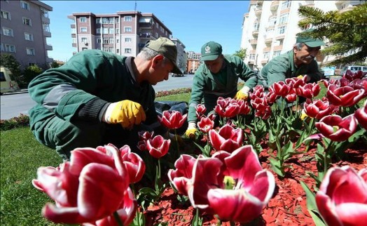 ?Bağcılar´da Park ve Bahçeler Kışa Dayanıklı Çim ve Çiçeklerle Donatılıyor?