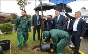 İĞDE AĞACI DİKİMİYLE, İKLİM DEĞİŞİKLİĞİNE DİKKAT ÇEKİLDİ